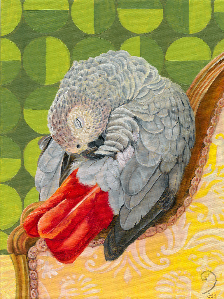 Fibonacci African Grey Parrot A3 size fine art print - Fiona Smith Art & Writing