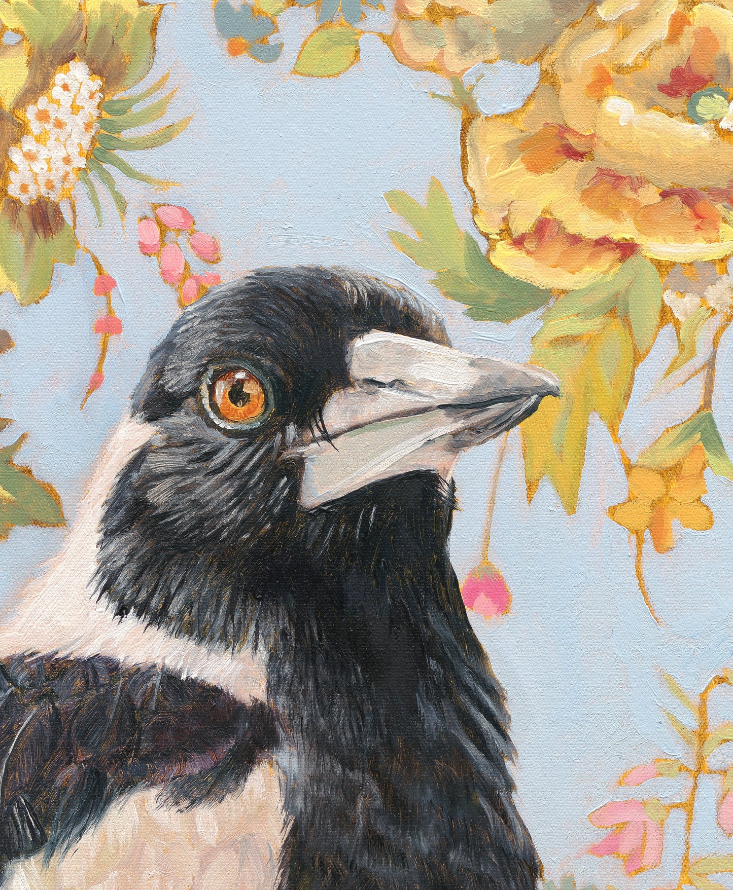Titan - Magpie on a Rothschild's chair. Fine art print