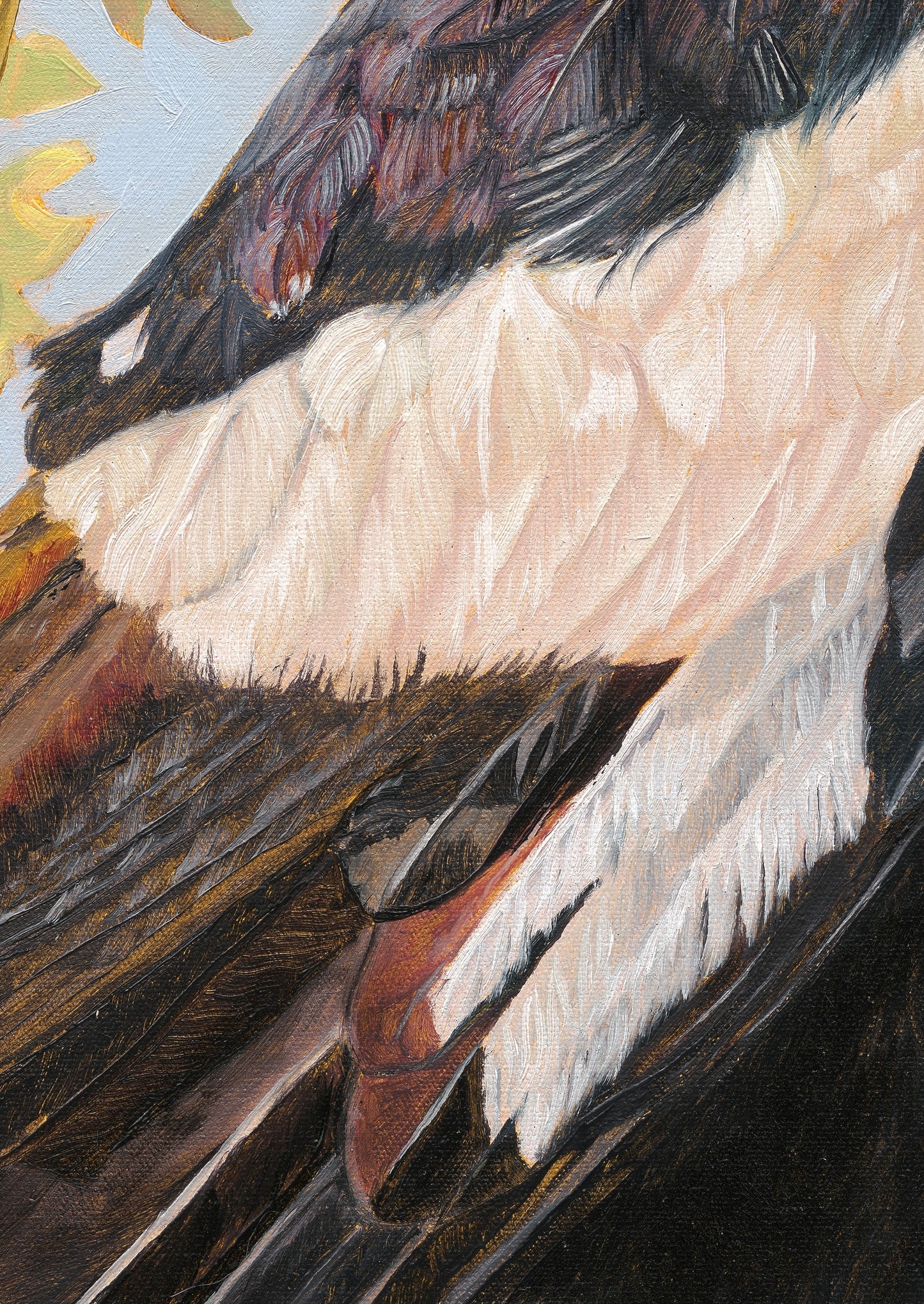 Titan - Magpie on a Rothschild's chair. Fine art print