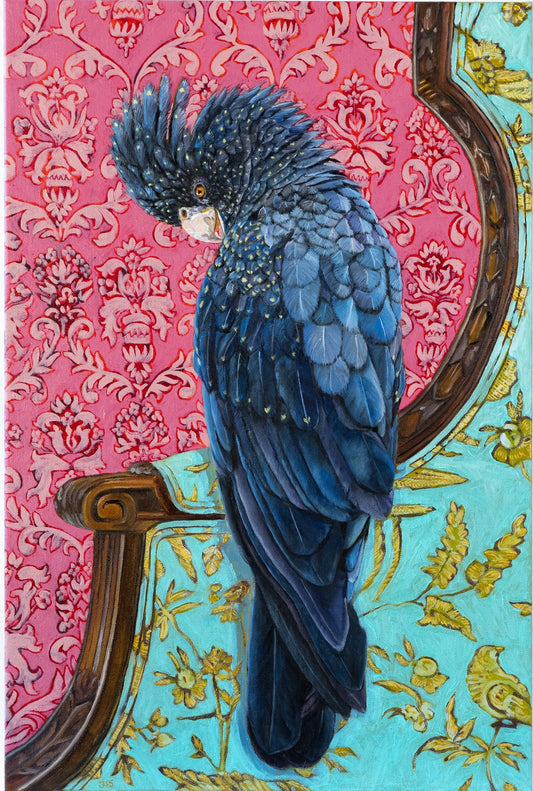 Showoff - Black cockatoo - Fiona Smith Art & Writing