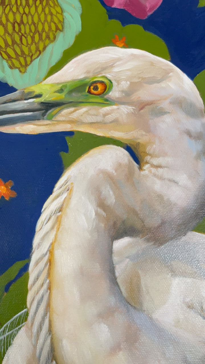 The Peace Bird - Great White Egret