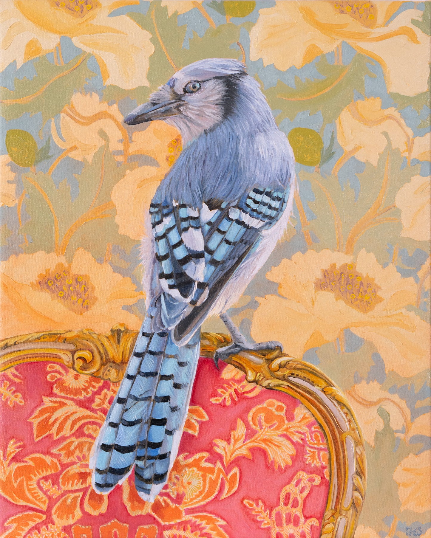 Songbird, Blue Jay,