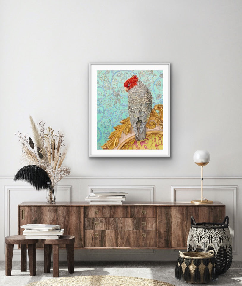 Gang Gang limited edition fine art print - Fiona Smith Art & Writing
