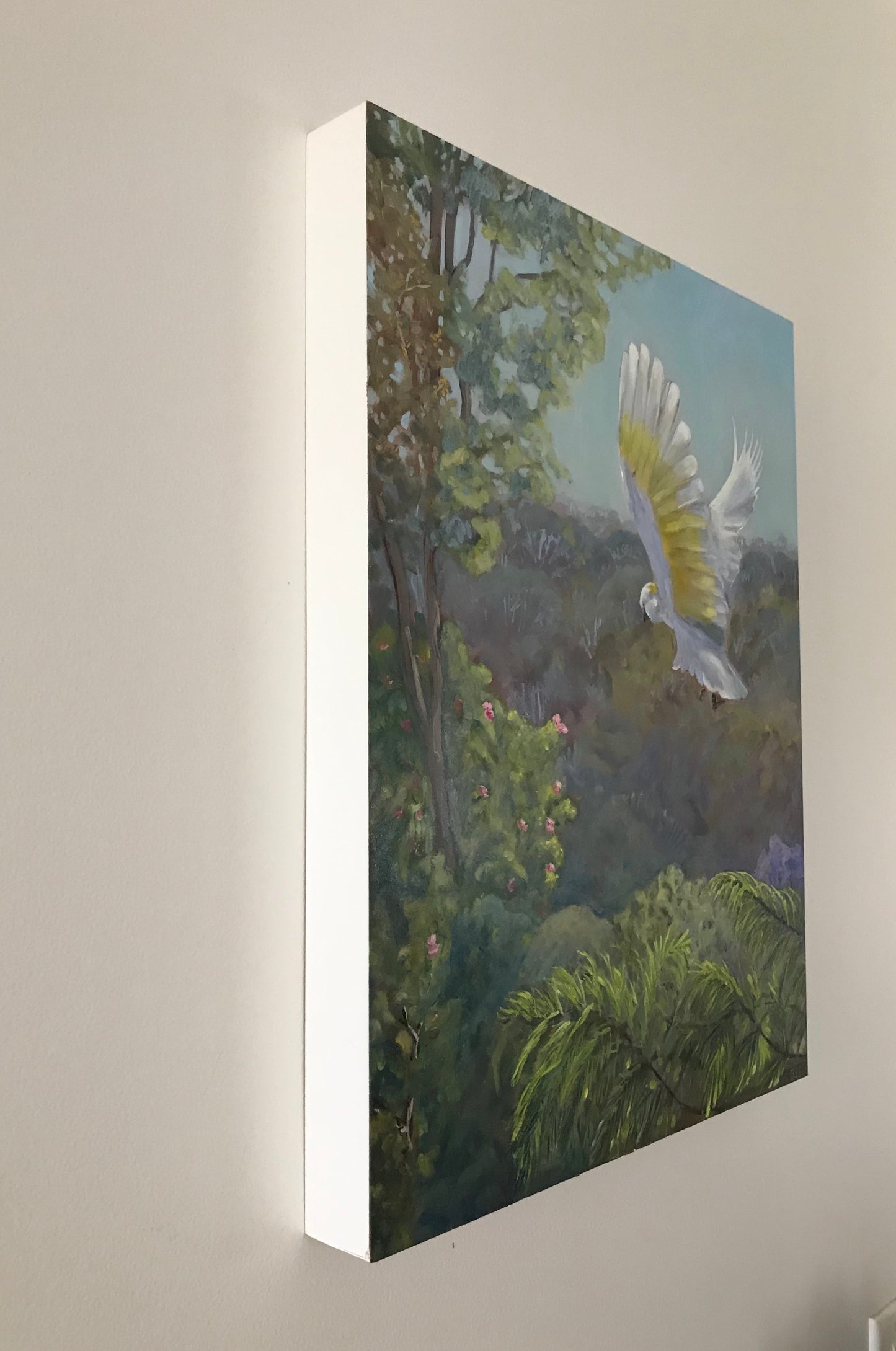 The visit - Sulphur crested cockatoo