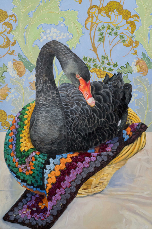 Nesting – black swan