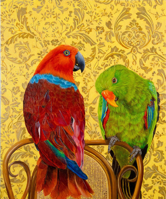 Opposites attract – Eclectus Parrot