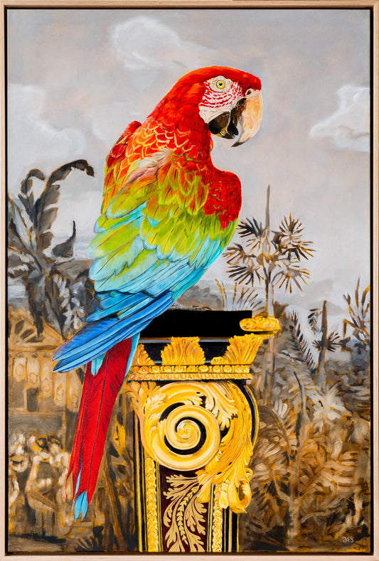 Jungle King – Macaw